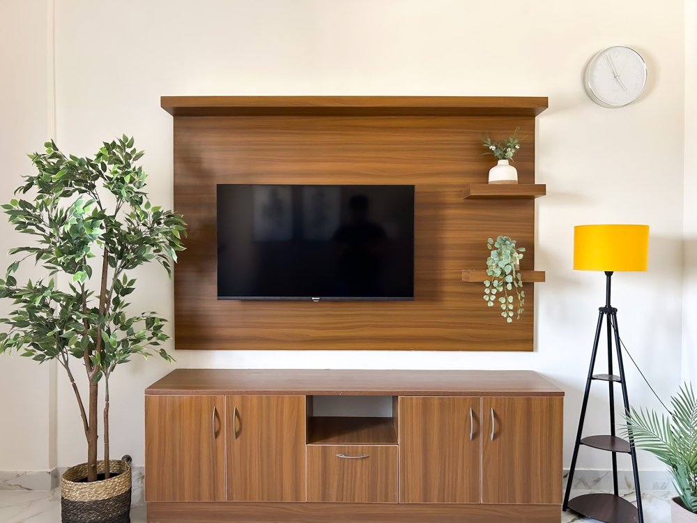 TV and multimedia